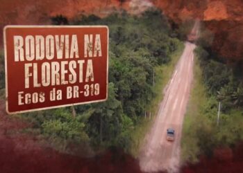 Amazonas autoriza extração de material para obras no 'trecho do meio' da BR-319