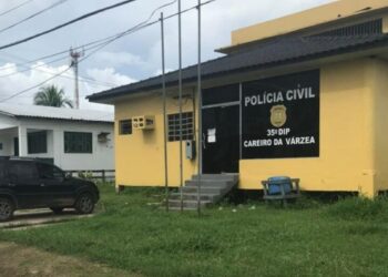 Mulher é presa suspeita de se passar por advogada e funcionária pública para aplicar golpes em idosos no AM
