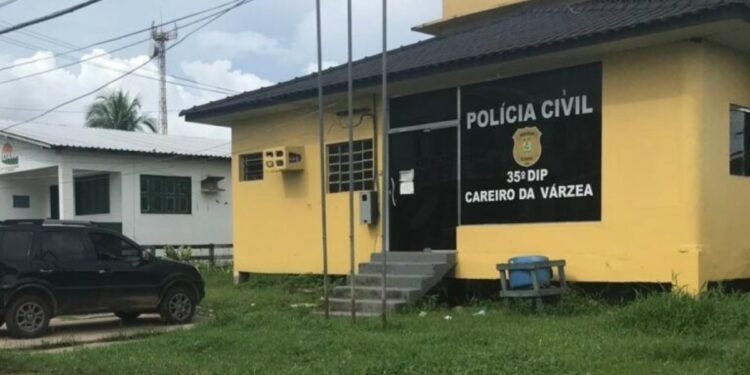 Mulher é presa suspeita de se passar por advogada e funcionária pública para aplicar golpes em idosos no AM