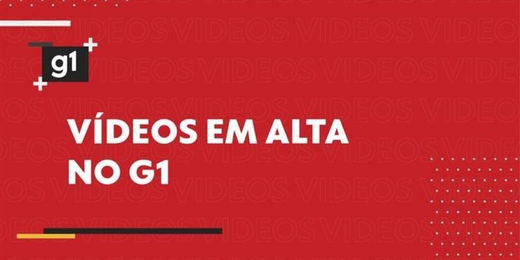 Grande quantidade de drogas é apreendida no Rio Solimões durante ação de forças de segurança no AM