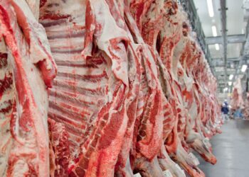 Governo promete reverter veto da UE a carnes e animais brasileiros