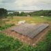 Comunidade indígena no Amazonas recebe energia solar mais de 30 anos após chegada de primeiros moradores