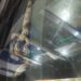 Motorista encontra cobra dentro de painel de carro em Manaus