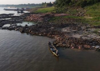 Estudo aponta que cheias e secas mais extremas ampliam impactos em comunidades ribeirinhas do AM