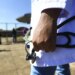 Revalida: candidatos já podem conferir local da prova prática